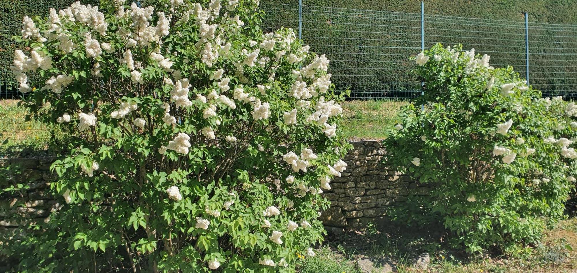 Chris Le Verger Saignon Exterior foto