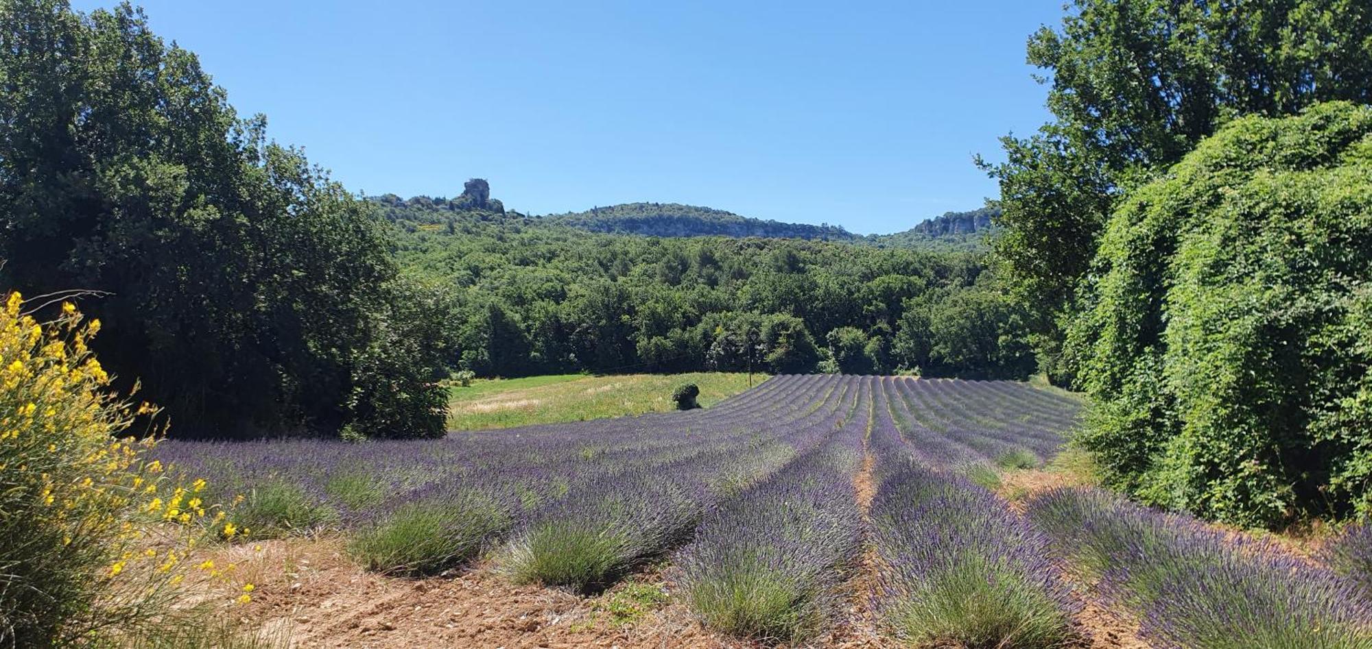 Chris Le Verger Saignon Exterior foto